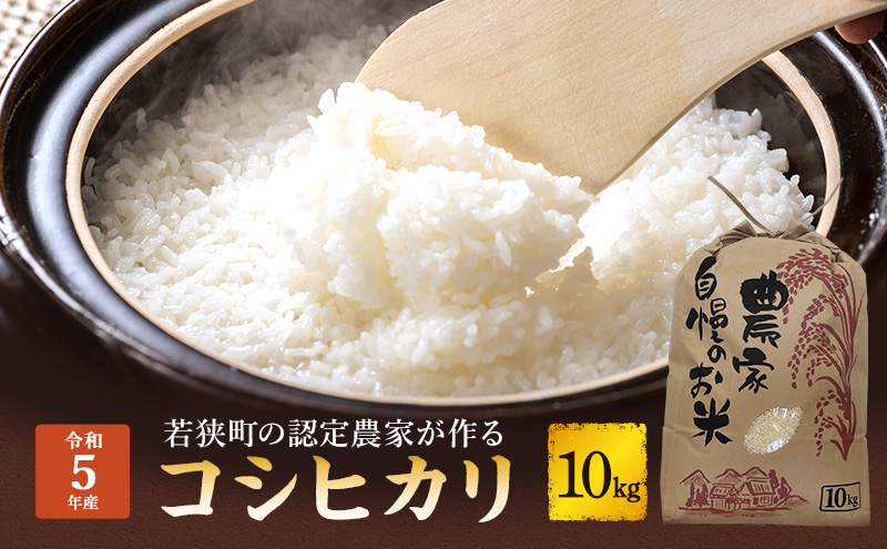 【令和6年度産】新米 先行予約 コシヒカリ 10kg 一等米 お米 おこめ こめ コメ 白米 精米 新米 ご飯 ごはん 苧営農組合 福井県 福井