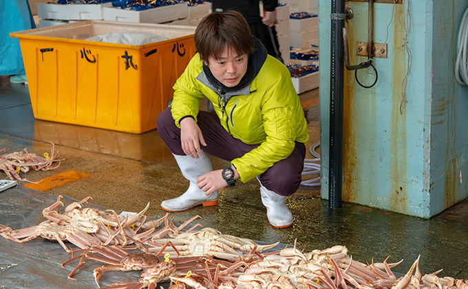 茹で 越前ガニ 約1.3kg以上 1杯 年末配送 食通もうなる本場の味をぜひ、ご堪能ください 越前かに 蟹 カニ かに ボイルカニ ボイル蟹 ポーション ズワイガニ ずわい蟹 海鮮 福井 福井県 若狭町