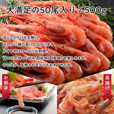 【祝北陸新幹線延伸】日本海甘えび 子無し 500g(約50尾)