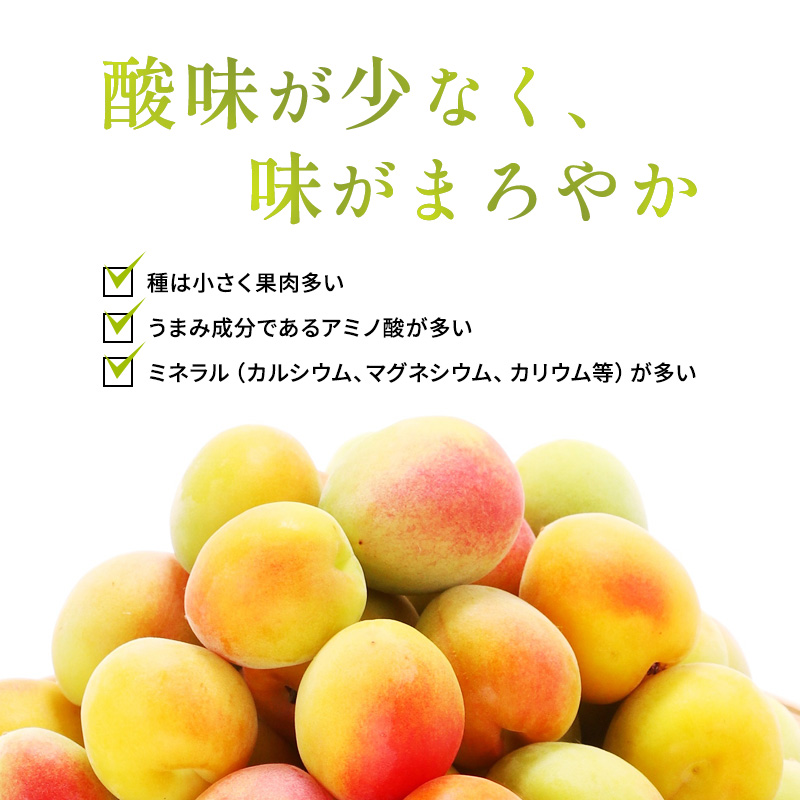 梅酒 限定 年間1000本 BENICHU19° 750ml 高島屋選定品 お酒 リキュール 高島屋 うめしゅ 酒 アルコール 紅映梅 梅 うめ ウメ 福井県 福井