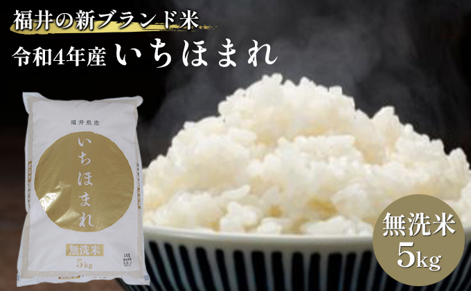 無洗米　いちほまれ5kg（令和５年産）福井の新ブランド米