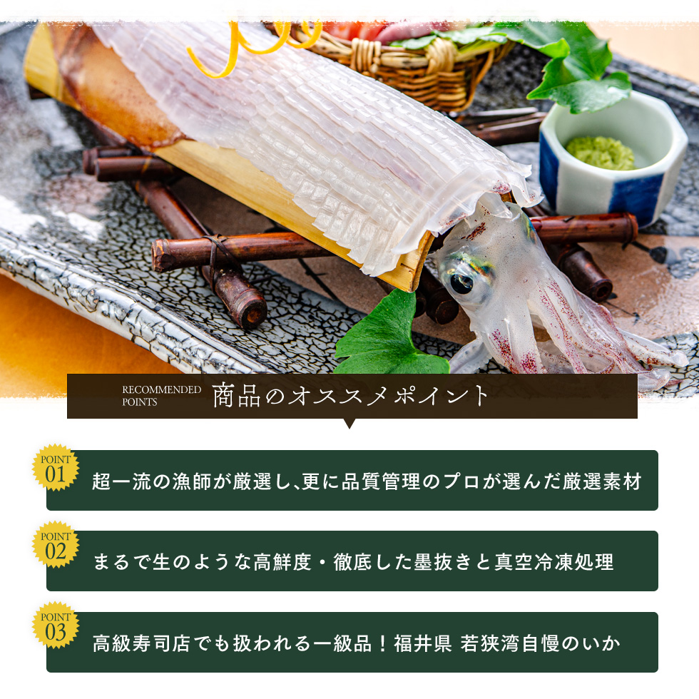 期間限定 剣先イカ 3～6杯 セット 詰め合わせ スミ抜き 冷凍 白イカ イカ 烏賊 いか 魚介 魚介類 海鮮 海鮮セット 限定 福井 福井県 若狭町