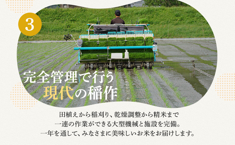 米 令和6年産 コシヒカリ 10kg 白米 精米 こめ コメ 一等米 特A 特a米 新米 こしひかり 山心ファーム 福井 福井県 若狭町