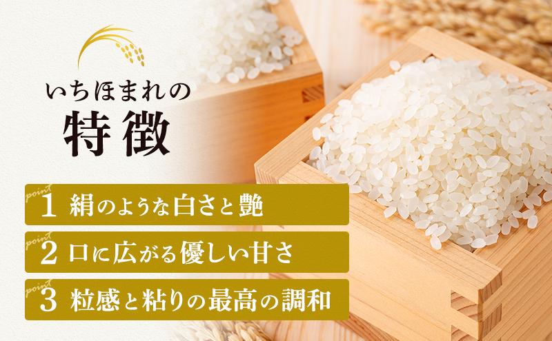 米 令和6年産 いちほまれ 5kg 福井 高級ブランド米 お米 おこめ コメ こめ 白米 精米 ご飯 ごはん 福井県