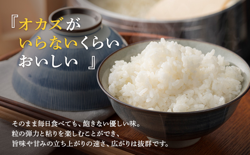 米 令和6年産 いちほまれ 5kg 福井 高級ブランド米 お米 おこめ コメ こめ 白米 精米 ご飯 ごはん 福井県