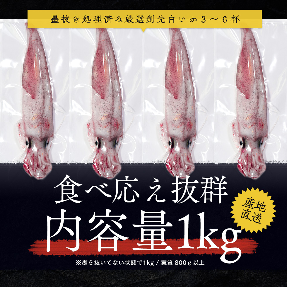 期間限定 剣先イカ 3～6杯 セット 詰め合わせ スミ抜き 冷凍 白イカ イカ 烏賊 いか 魚介 魚介類 海鮮 海鮮セット 限定 福井 福井県 若狭町
