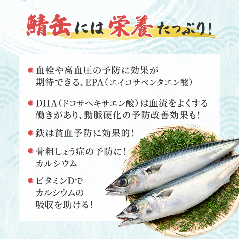 サバ缶 水煮 45缶 セット 詰め合わせ 若狭の鯖缶 鯖缶 さば缶 さば サバ 鯖 缶詰 缶詰め 魚 魚介 魚介類 海鮮 水煮缶 福井 福井県 若狭町