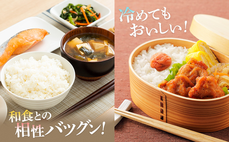 米 コシヒカリ 10kg 産地直送 一等米 特A 特A米 お米 白米 精米 新米 ご飯 令和6年産 10キロ おこめ こめ コメ ごはん こしひかり 福井県 福井 若狭町 若狭 送料無料