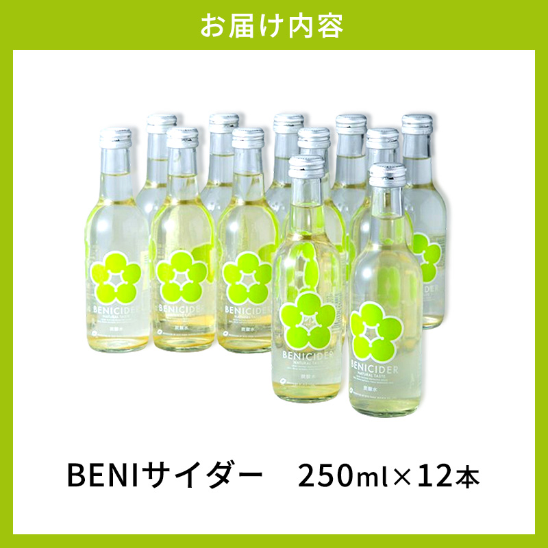 炭酸 高島屋選定品 BENIサイダー 250ml 12本 セット 炭酸飲料 高島屋 飲料 梅サイダー サイダー 紅映 梅 うめ ウメ 福井県 福井