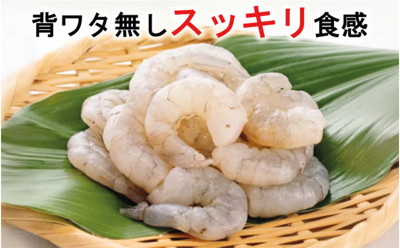 越前若狭食宝庫の高級むきえび【ホワイトバナメイエビ冷凍】800g /約90～100尾x2