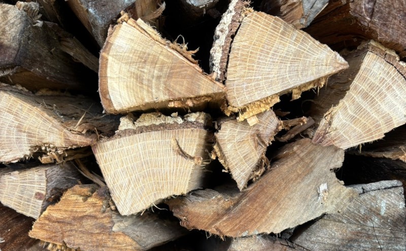 阮ェ 蝨ー蜈縺ョ譽ョ縺九i逶エ騾シ√%縺繧上j縺ョ蠎闡画ィケ阮ェ 20kg 繧サ繝繝 縺セ縺 繧ュ繝」繝ウ繝