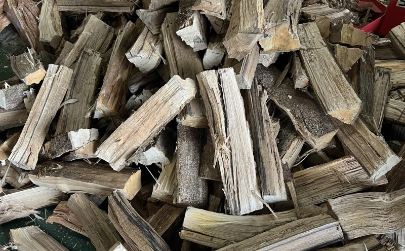 阮ェ 蝨ー蜈縺ョ譽ョ縺九i逶エ騾シ√%縺繧上j縺ョ蠎闡画ィケ阮ェ 20kg 繧サ繝繝 縺セ縺 繧ュ繝」繝ウ繝