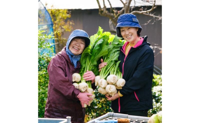 åé£ã«åãç²ãã¹ã¿ãŒã40gÃ5æ¬ èª¿å³æ ãã¹ã¿ãŒã ã¹ãã€ã¹ è¥ççº