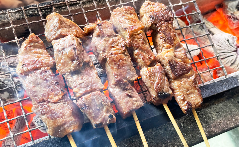焼き鳥 若鶏もも串 30本 鶏肉 もも 肉 焼鳥 やきとり バーベキュー 冷凍 福井県 若狭町