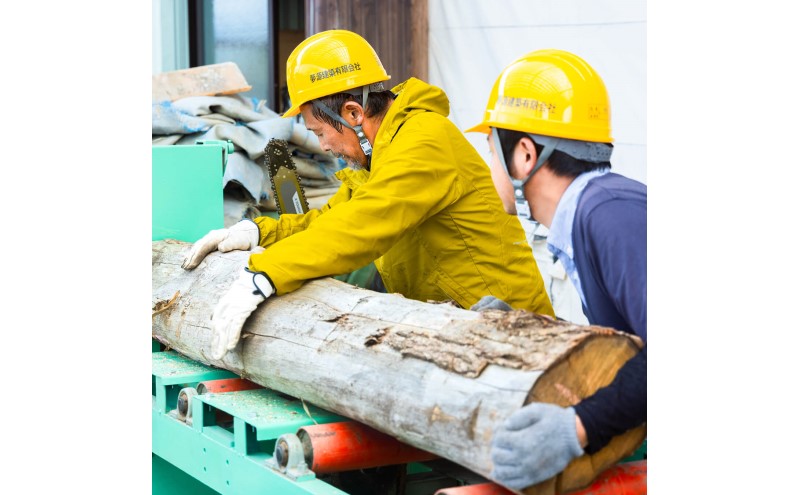 也ç¥èª åºèæš¹ããã¯ã¹èª20kg 35cm äžå²ãïœå€§å²ãèªã¹ããŒã ãã£ã³ã çãç« ãµã¯ã©ã»ã±ã€ãçã®æš¹çš® èª ã¢ãŠãã㢠çŠäºç è¥ççº