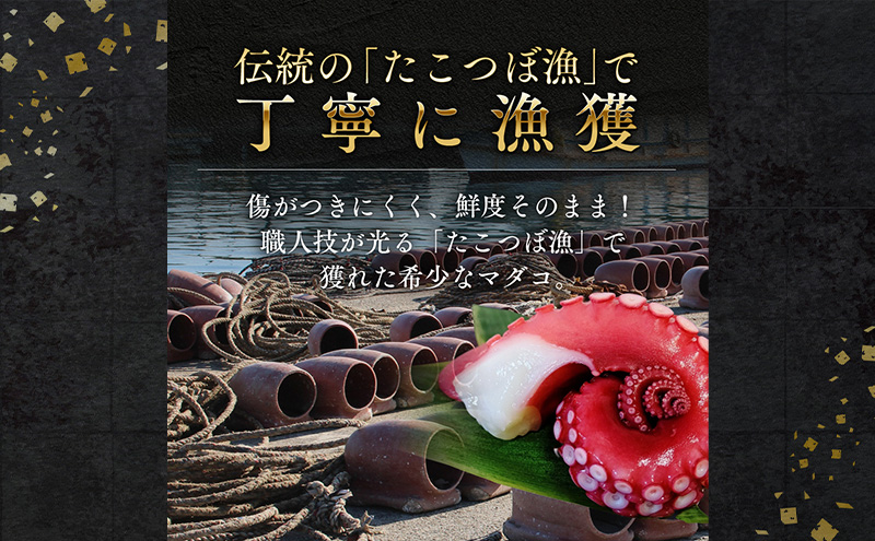 茹でまだこ 福井県産 1.2Kg （2～3杯）タコ ボイル 魚介 魚介類 海鮮 国産 福井県 若狭