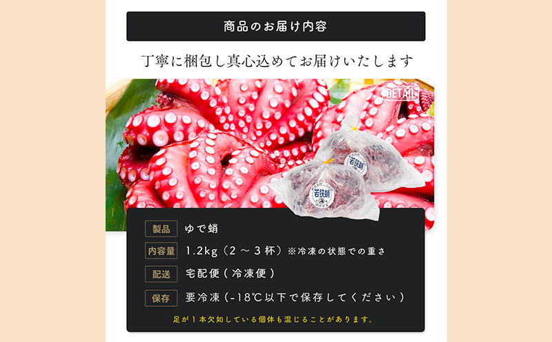 茹でまだこ 福井県産 1.2Kg （2～3杯）タコ ボイル 魚介 魚介類 海鮮 国産 福井県 若狭