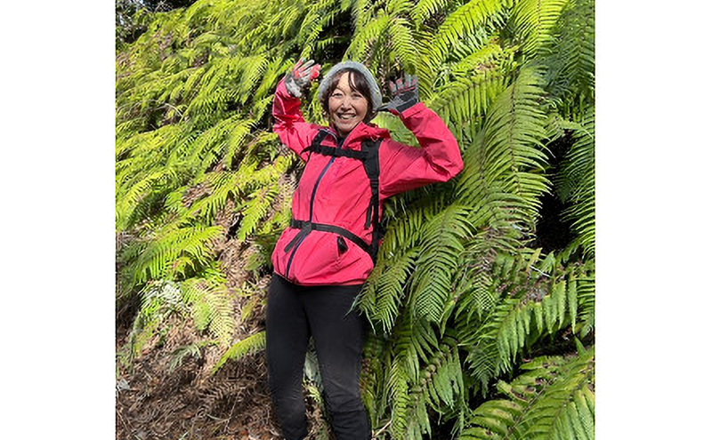 湖上館パムコ共通利用券【宿泊・アクティビティ・その他】 福井県 若狭町