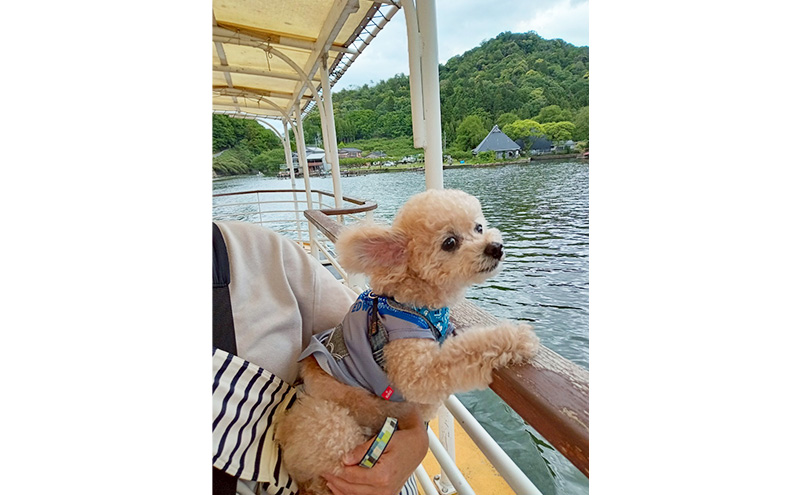 闍・迢ュ逕コ隕ウ蜈芽飴繝ャ繧、繧ッ繧ッ繝ォ繝シ繧コ荵苓飴蛻ゥ逕ィ蛻ク 驕願ヲァ闊ケ 闍・迢ュ貉セ 遖丈コ慕恁