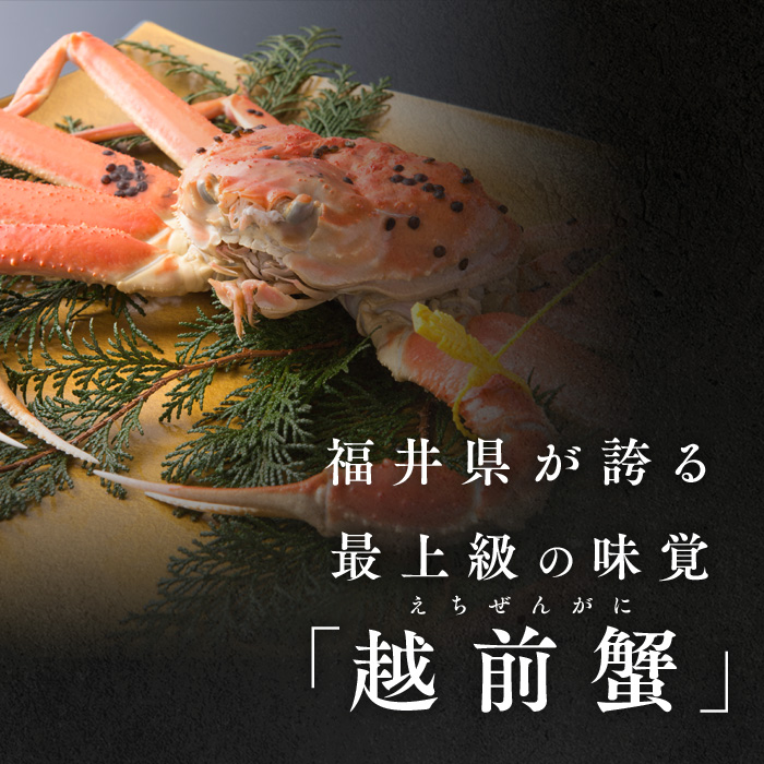 險ウ縺ゅj闌ケ縺ァ雜雁燕繧ャ繝 500g莉・荳甘2譚ッ(閼壽釜繧) 繧ォ繝 繧コ繝ッ繧、繧ャ繝 繝懊う繝ォ 遖丈コ慕恁
