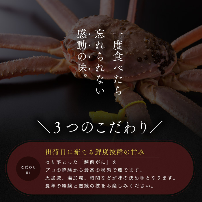 年末発送 訳あり茹で越前ガニ 500g以上×3杯(脚折れ) カニ ズワイガニ ボイル 福井県