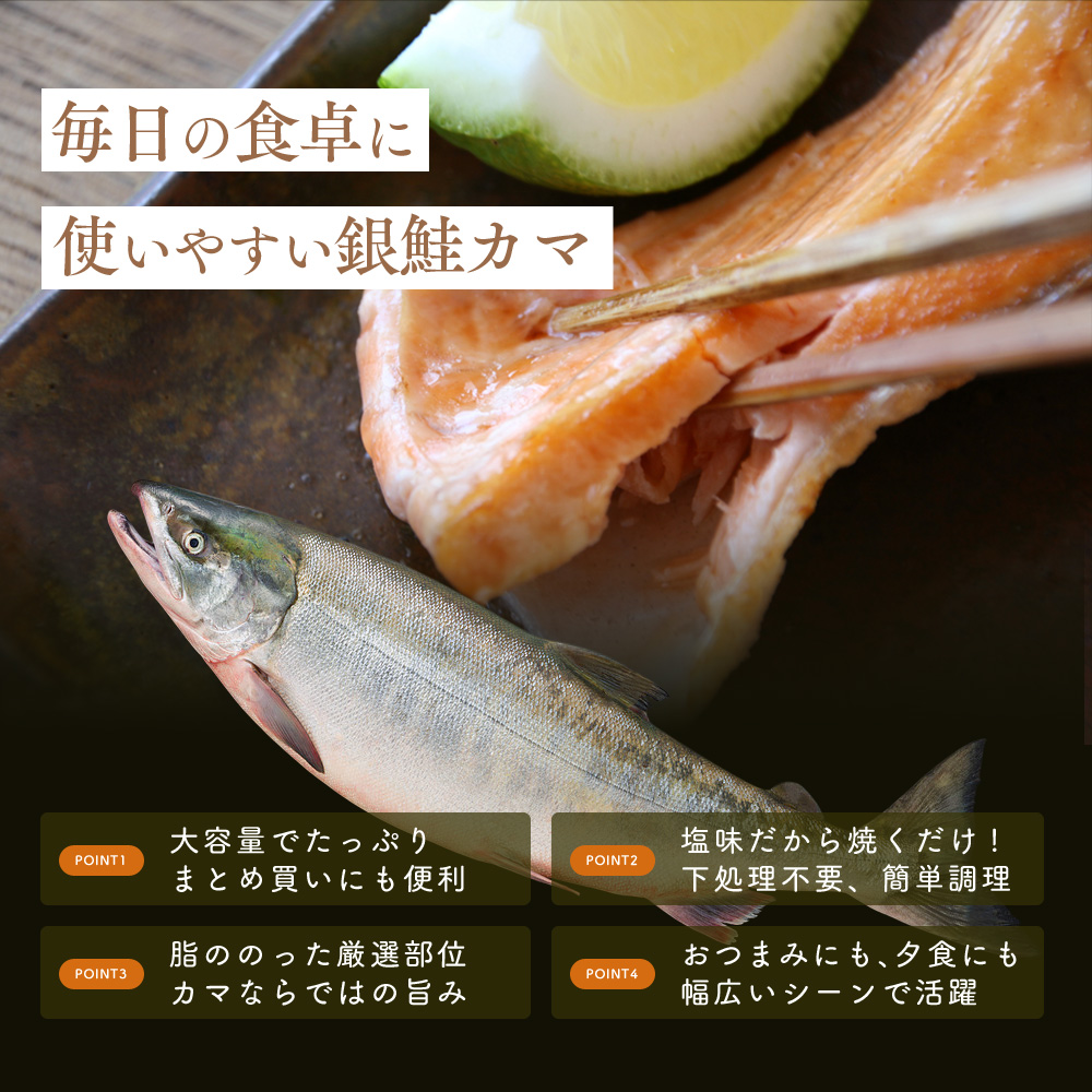 塩銀鮭カマ【端材、訳あり】1Kg 福井県