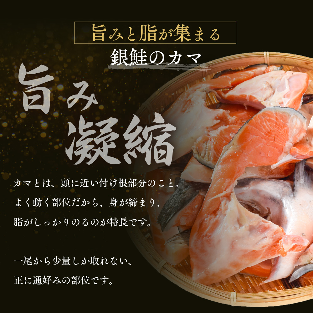 塩銀鮭カマ【端材、訳あり】2Kg 福井県