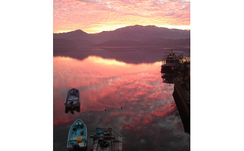 貉紋ク企、ィ繝代Β繧ウ蜈ア騾壼茜逕ィ蛻ク5譫壹仙ョソ豕翫サ繧「繧ッ繝繧」繝薙ユ繧」繝サ縺昴ョ莉悶 遖丈コ慕恁 闍・迢ュ逕コ
