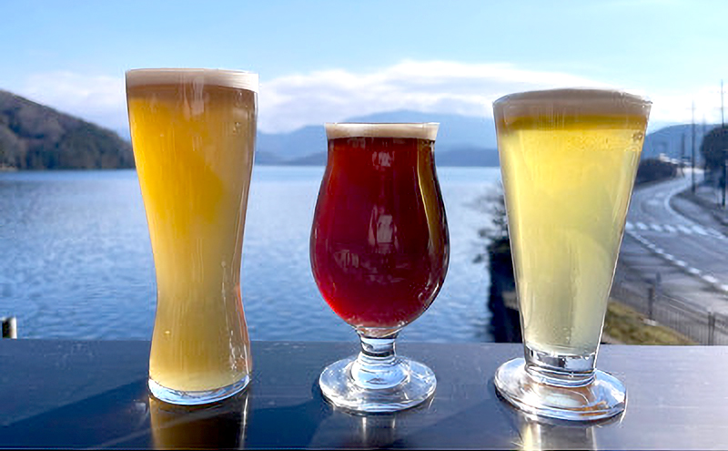 湖上館パムコ共通利用券3枚【宿泊・アクティビティ・その他】 福井県 若狭町