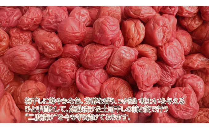 梅干し 一級品 1.2kg （簡易梱包）　ご飯のお供 肉厚 種が小さい 紅映 天然塩 鮮やか 芳醇な香り コク 紫蘇漬け 二度漬け すっぱい