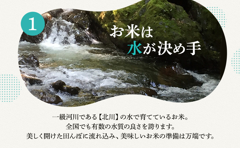 縲2譛医♀螻翫¢縲題凶迢ュ逕コ繧ウ繧キ繝偵き繝ェ10kg 邀ウ 縺顔アウ 縺薙@縺イ縺九j 遖丈コ慕恁