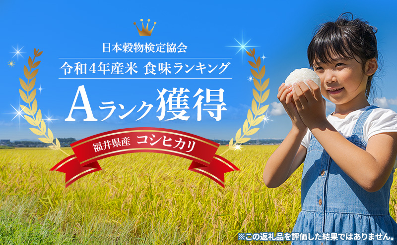 縲2譛医♀螻翫¢縲題凶迢ュ逕コ繧ウ繧キ繝偵き繝ェ10kg 邀ウ 縺顔アウ 縺薙@縺イ縺九j 遖丈コ慕恁