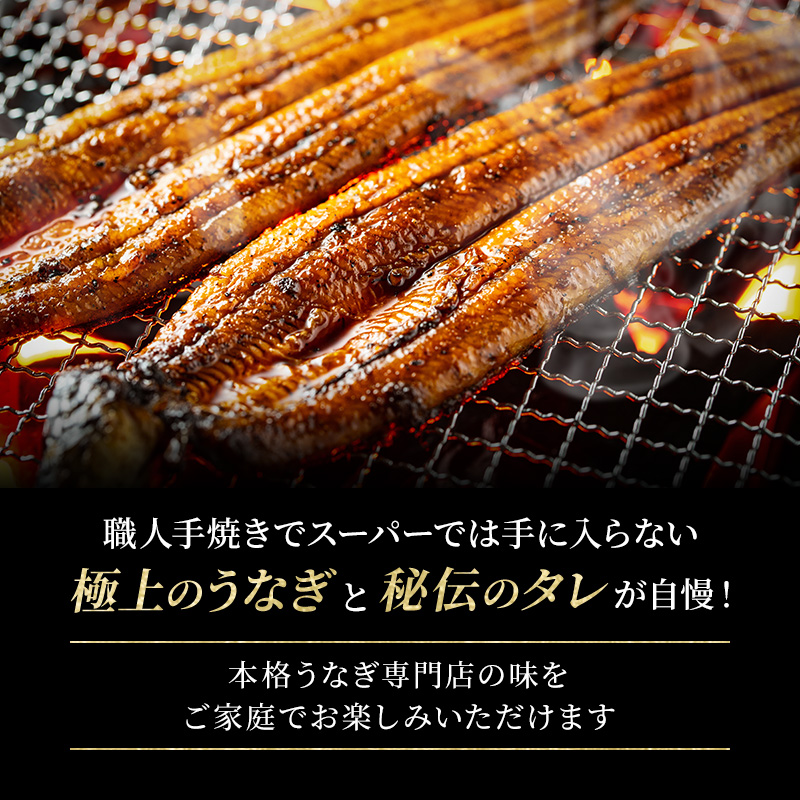 特大うなぎの蒲焼き 国産(愛知県産) 約230g前後 10尾