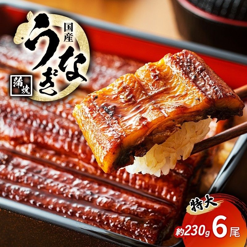 特大うなぎの蒲焼き 国産(愛知県産) 約230g前後 6尾