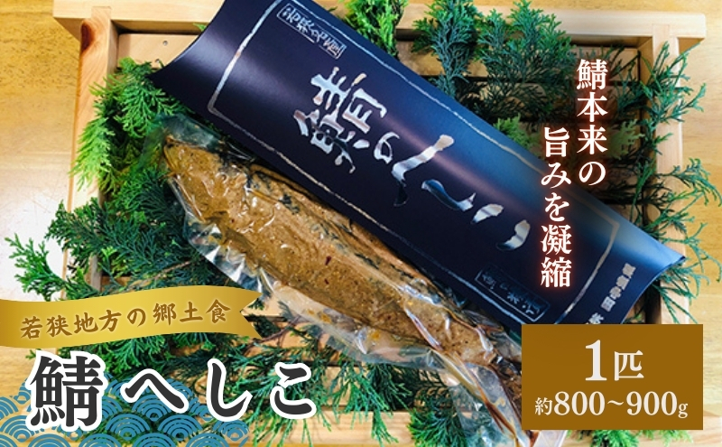 若狭町産 鯖へしこ（糠漬）1本　約800～900g前後 魚貝類 加工食品 惣菜 魚介類