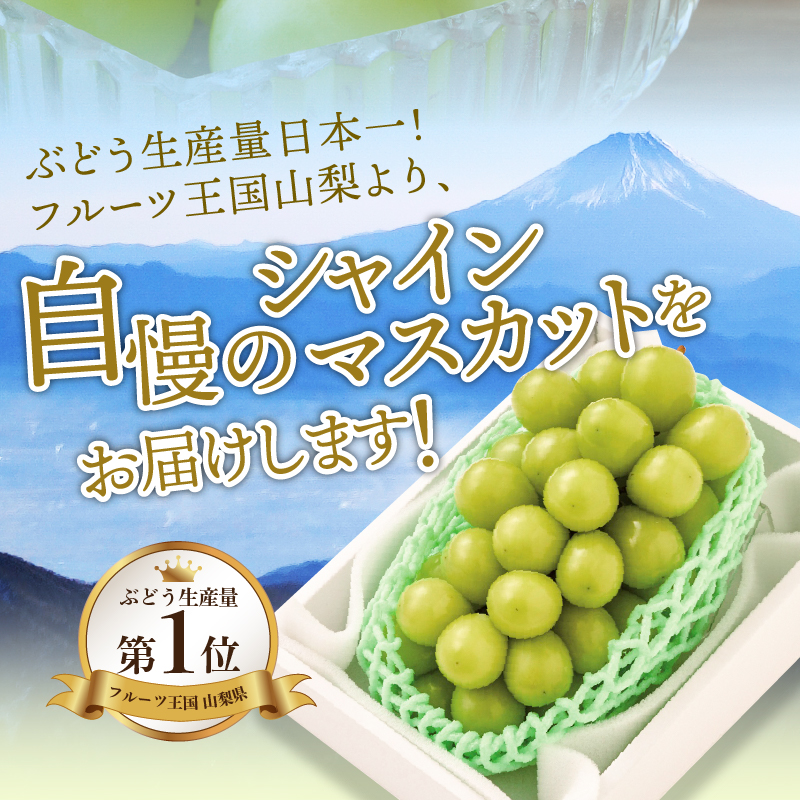 〈2026年度配送分〉山梨県産 シャインマスカット 3～5房（2.0kg以上）
