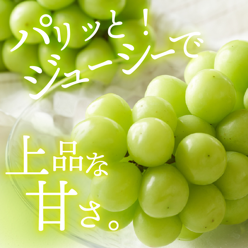 〈2025年度配送分〉甲府市産 シャインマスカット 3～5房（2.0kg以上）