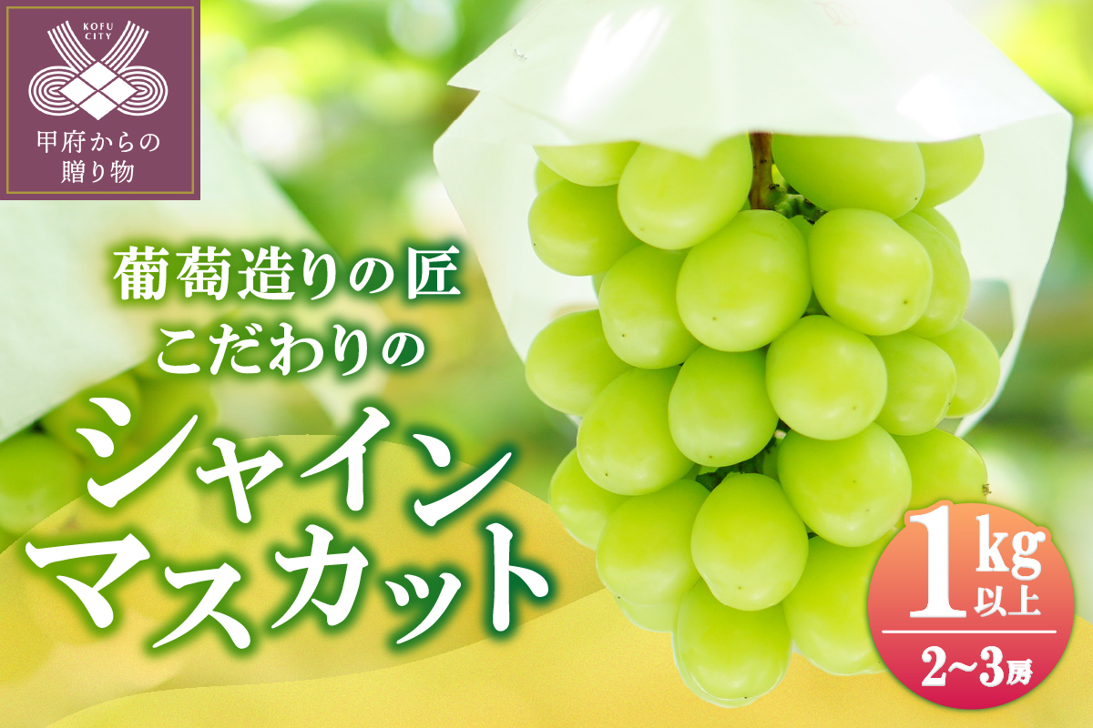 【☆先行予約☆2025年/令和7年発送分】シャインマスカット（こだわり）1kg以上　2～3房
