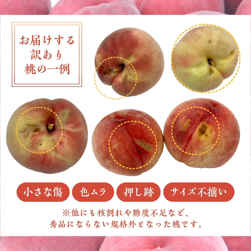 〈2026年度配送分〉甲府市産　訳ありもも　約2kg（4～7玉）