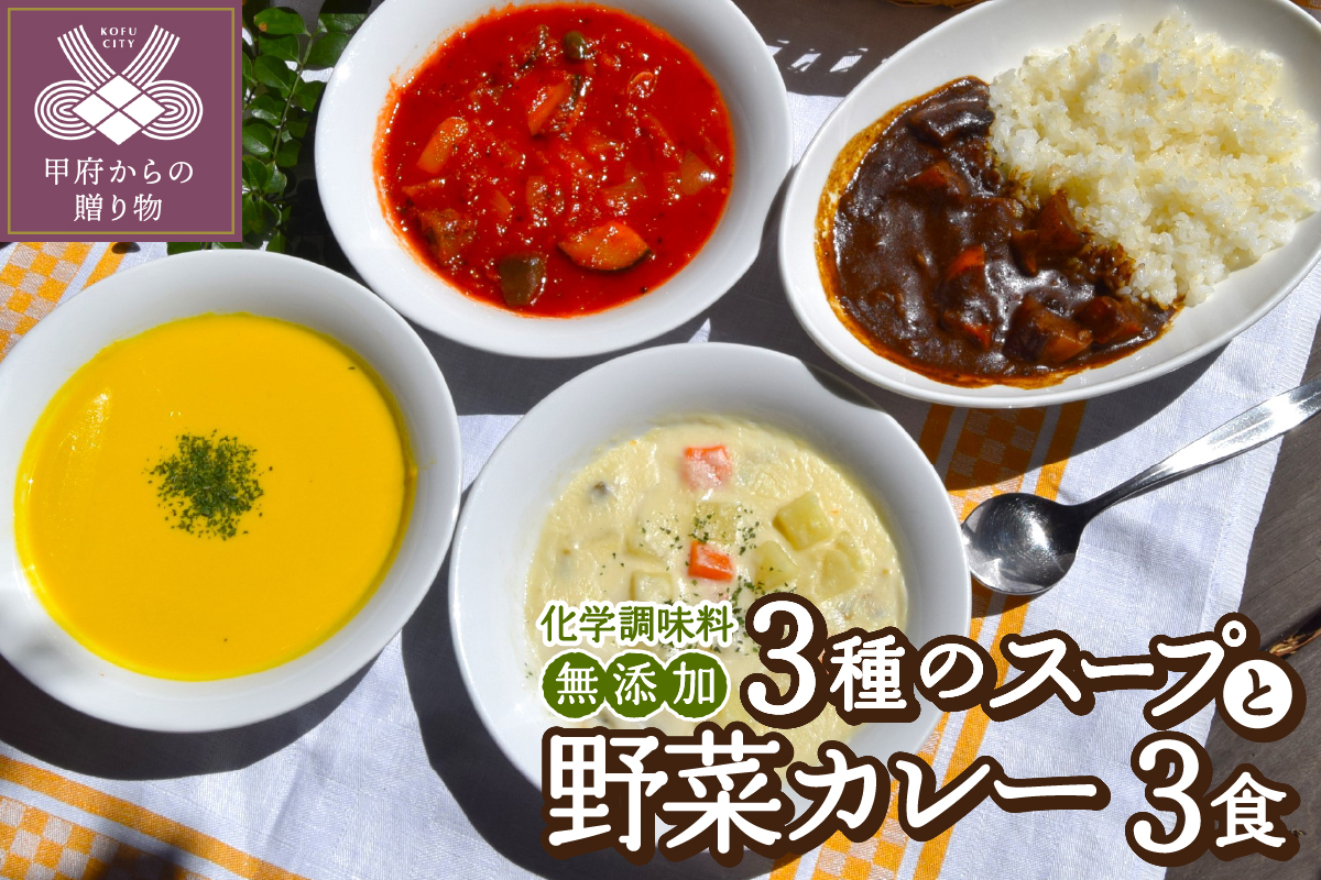 化学調味料無添加スープ3食＆野菜カレー3食セット