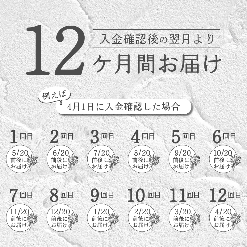 【12ヶ月定期便】小松弘典が手がける季節のフラワーアレンジメント　Mサイズ