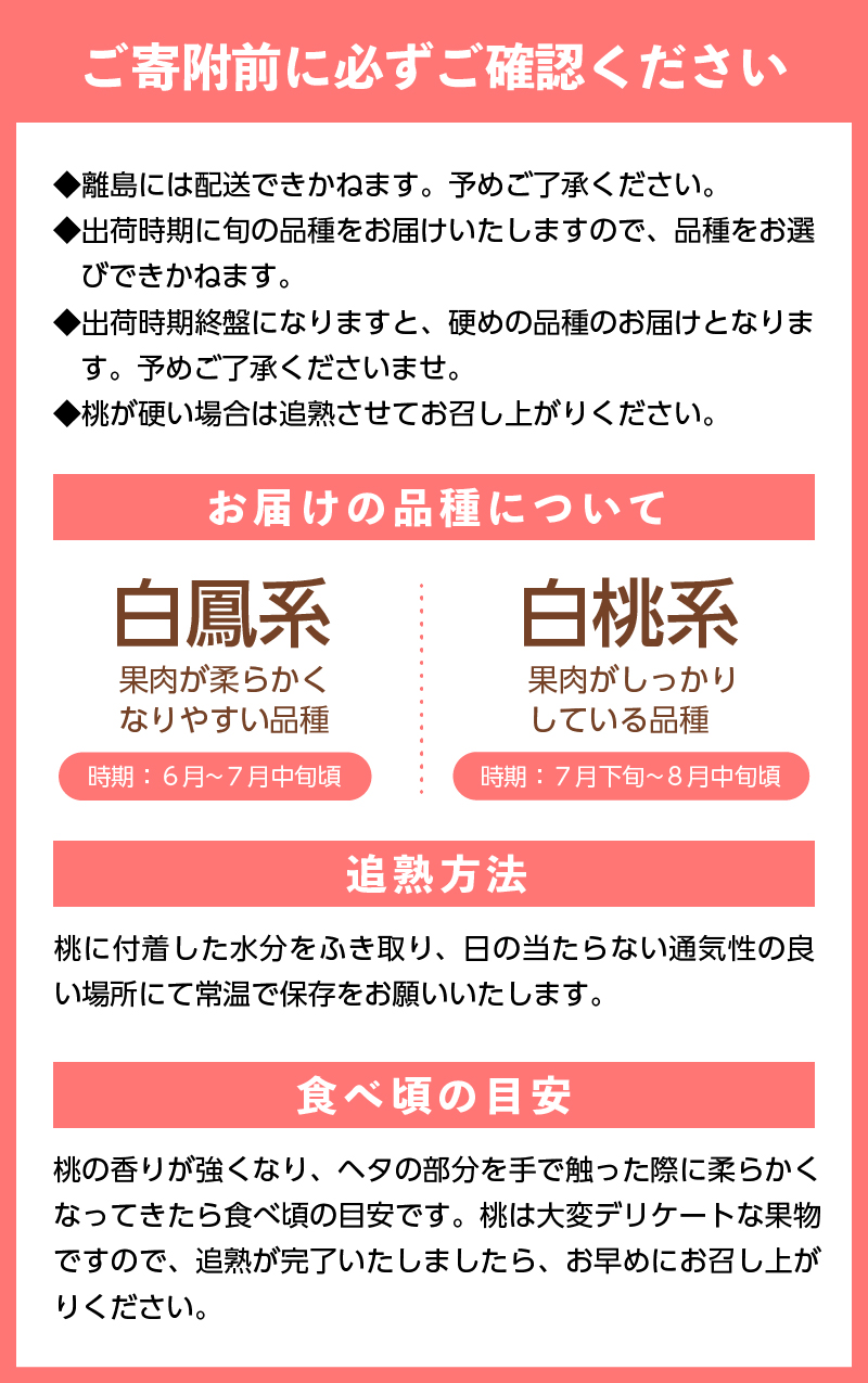 〈2025年度配送分〉露地桃大玉 5-6玉（2025年6月下旬～8月中旬にかけて順次配送予定）