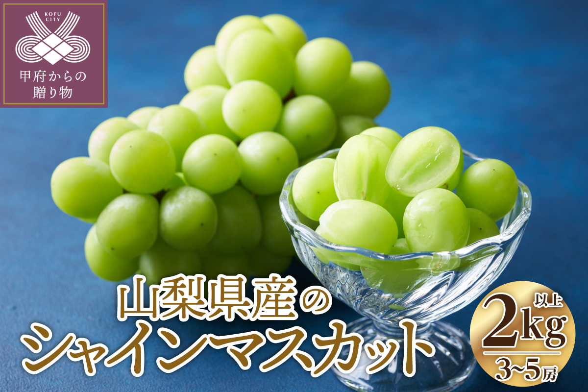 ã2026幎床é
éåã山梚çç£ ã·ã£ã€ã³ãã¹ã«ãã 3ïœ5æ¿ïŒ2.0kg以äžïŒ