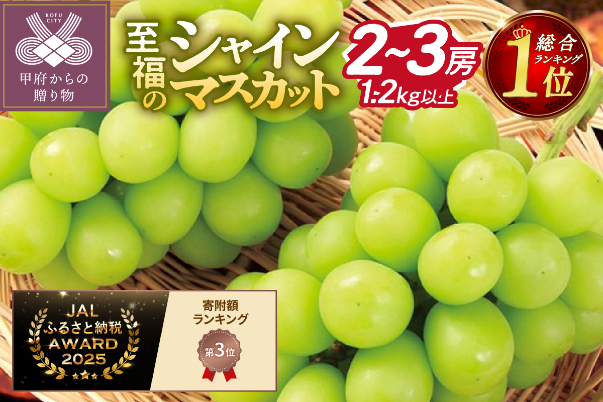 【総合1位獲得!!】〈2026年度配送分〉至福の山梨県産シャインマスカット 2～3房（1.2kg以上）