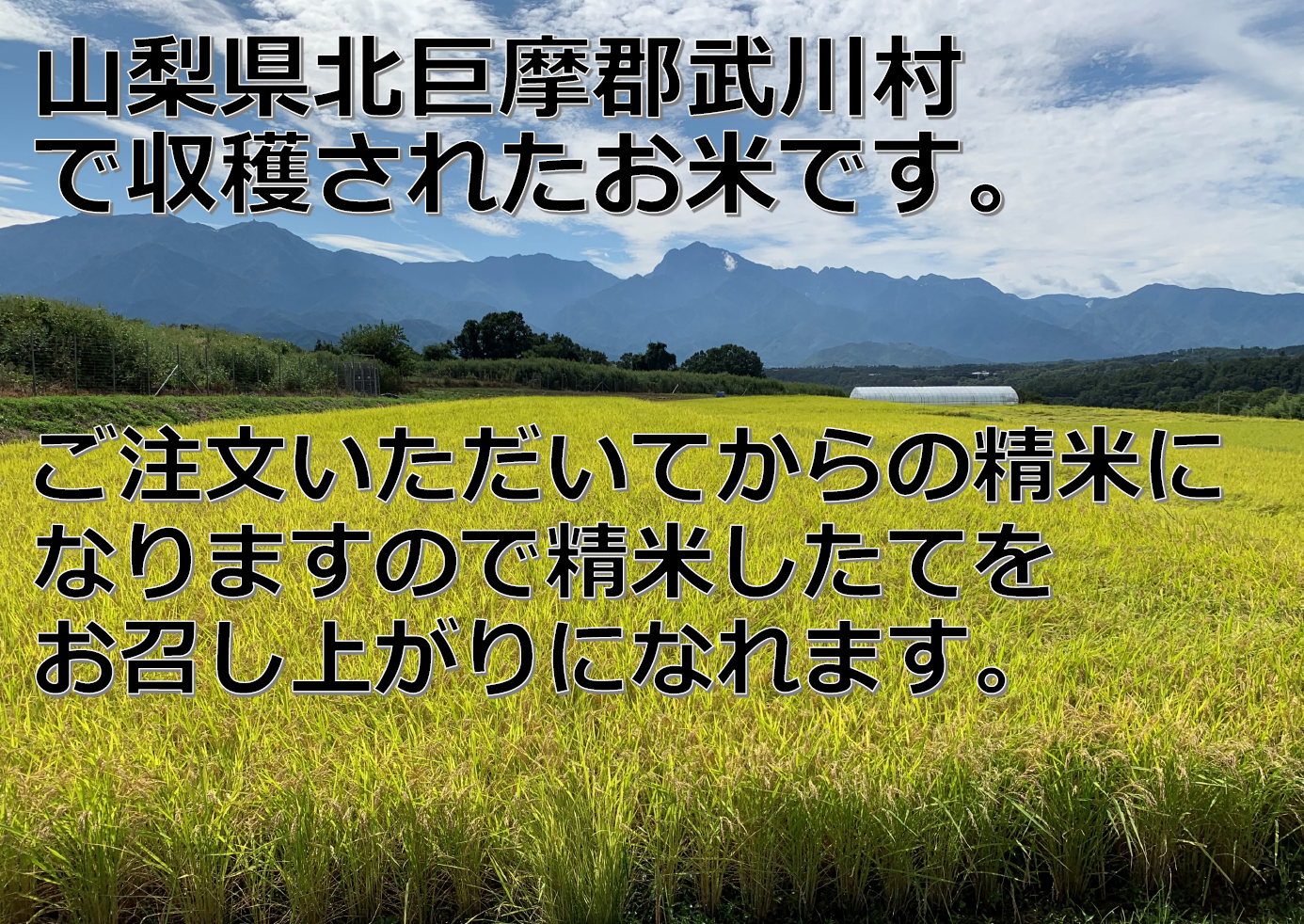 【新米】山梨県産武川コシヒカリ 玄米20kg(10kg×2袋)