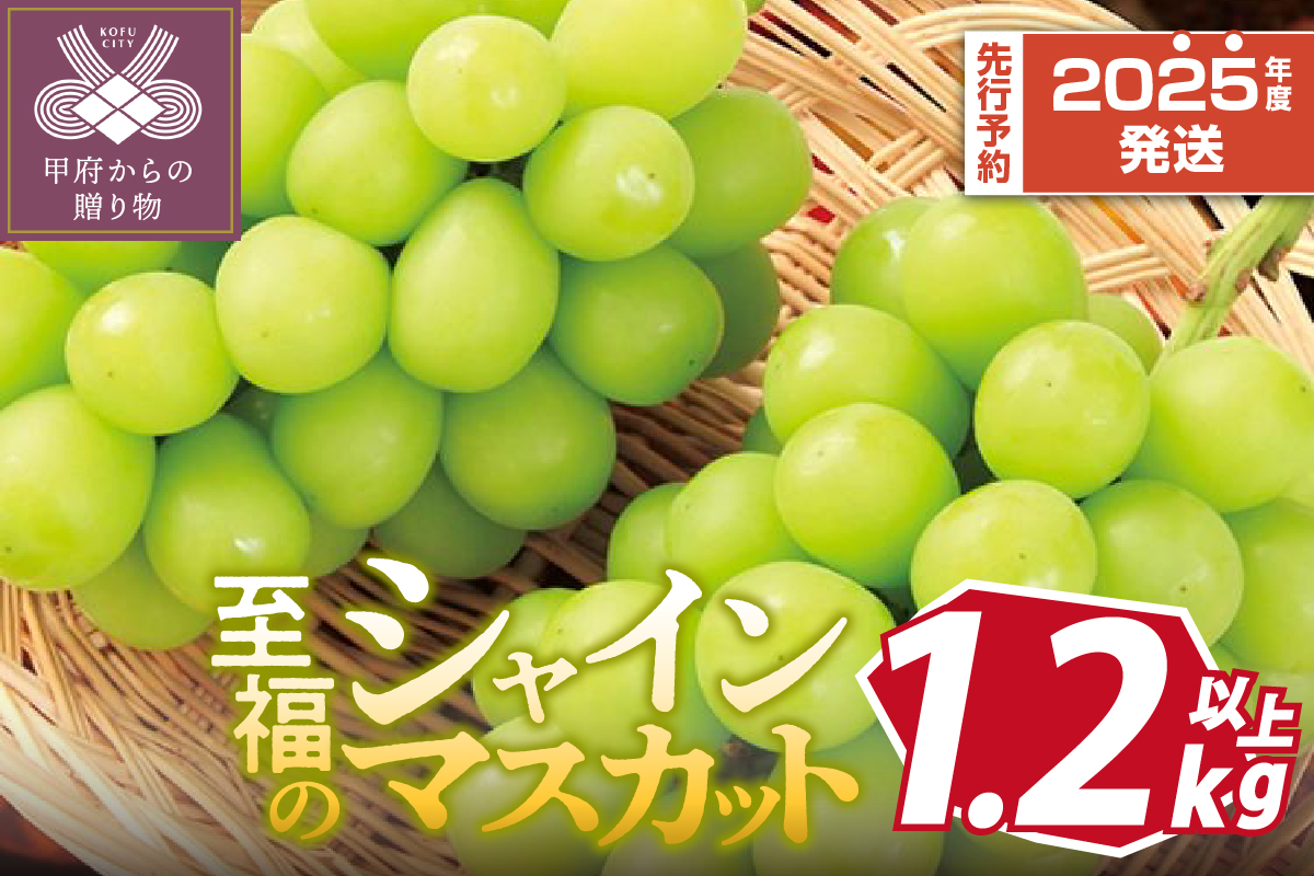 〈2025年度配送分〉至福の山梨県産シャインマスカット 2～3房（1.2kg以上）