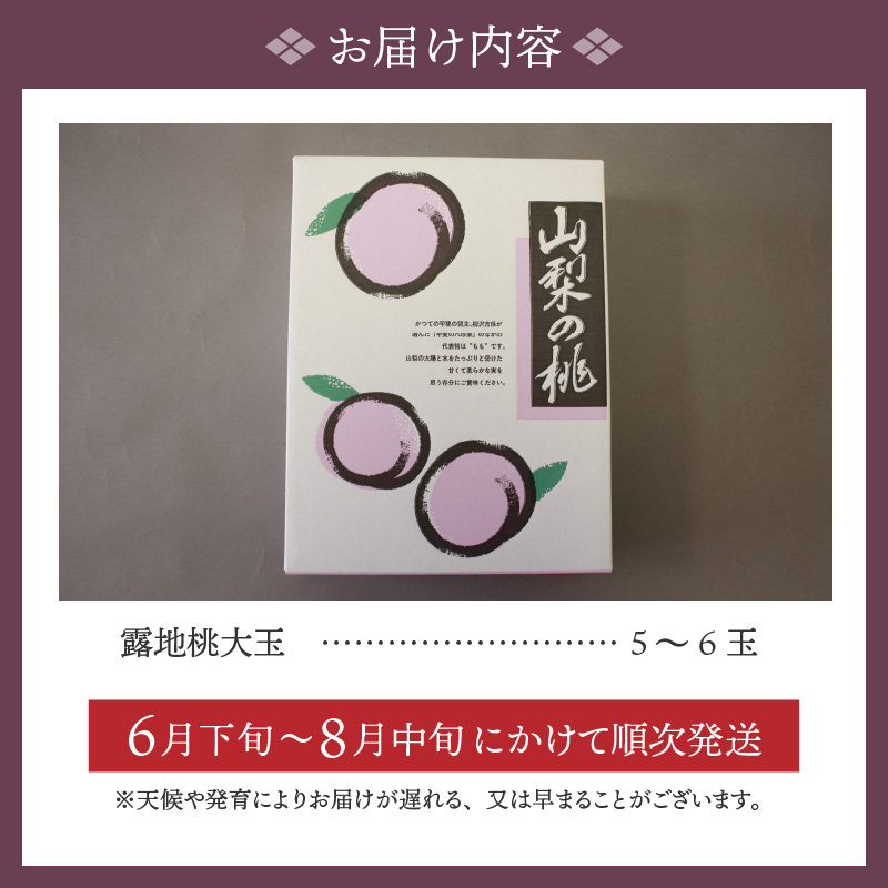 〈2025年度配送分〉露地桃大玉 5-6玉（2025年6月下旬～8月中旬にかけて順次配送予定）