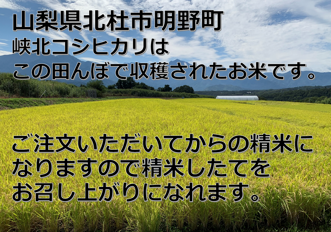 【令和5年米】山梨県産峡北コシヒカリ１０kg