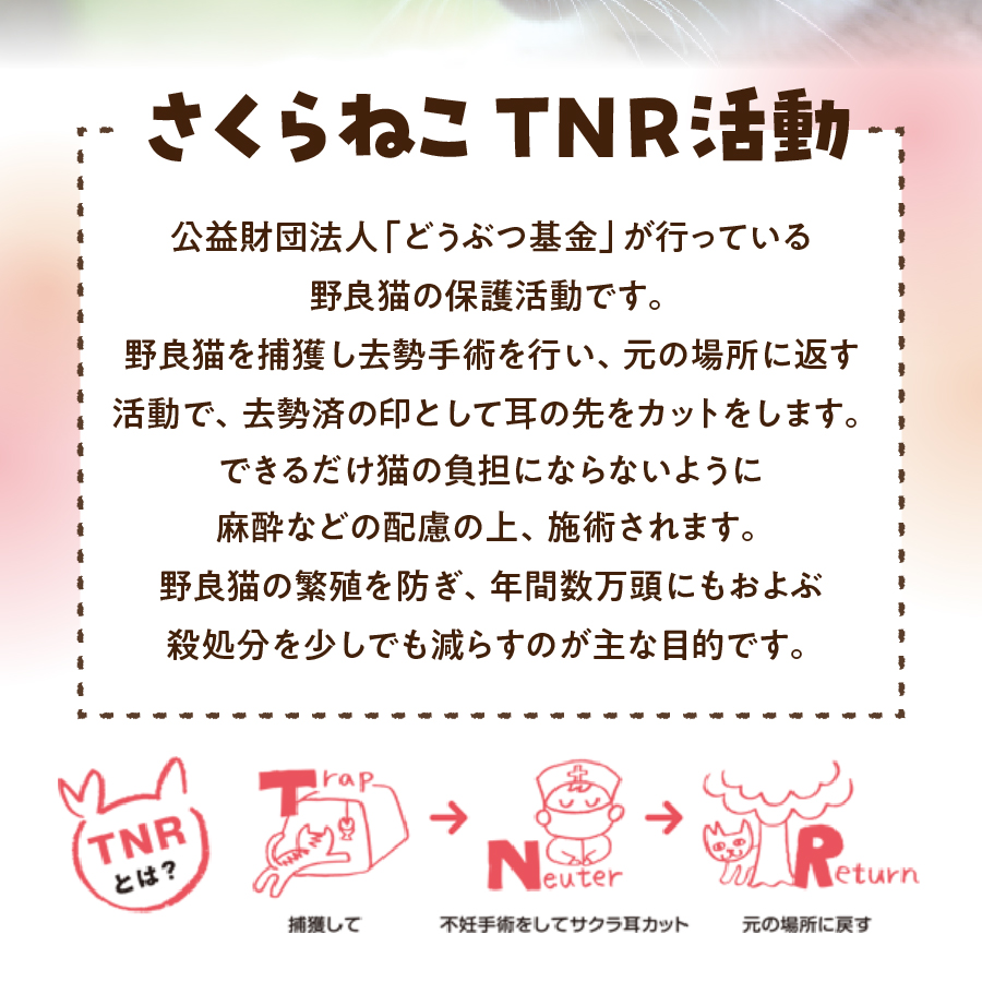 ãèš³ãããéè¯ç«ä¿è·æ¯æŽ ããããã ãã¬ã³ãã³ãŒã㌠å¯å£«å±±ã®æ¹§ãæ°Žã§ç£šãã ã¹ãã·ã£ã«ãã£ã³ãŒã㌠ããªãã 12gÃ40è¢