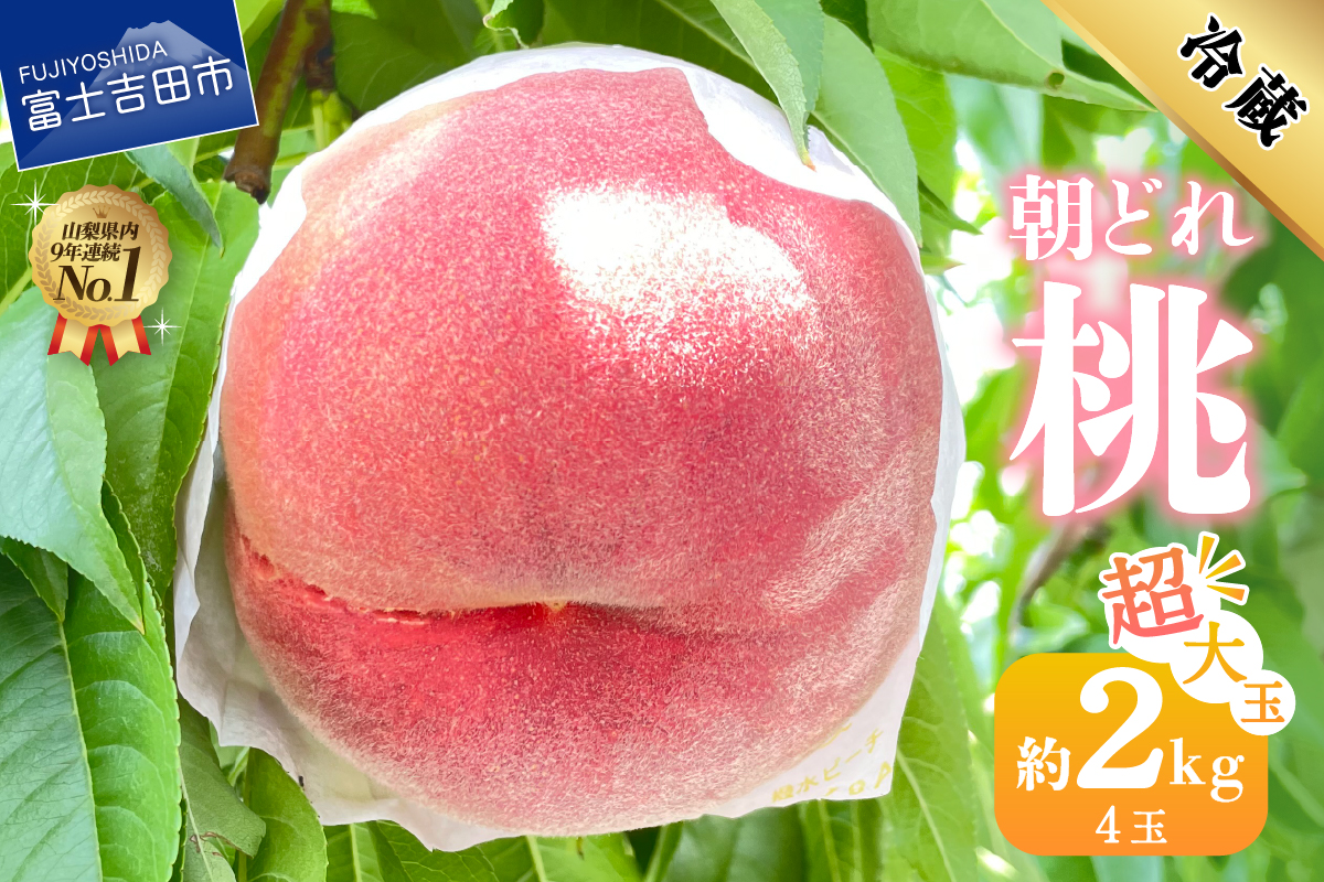 【2026年発送】山梨の朝どれ超大玉桃2kg（4玉）